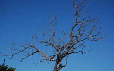 Résultat de recherche: Prière au ciel ??