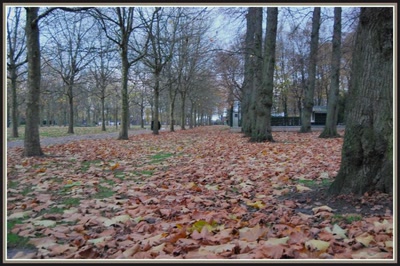 Résultat de recherche: St-Quentin (02) Les Champs Elysées