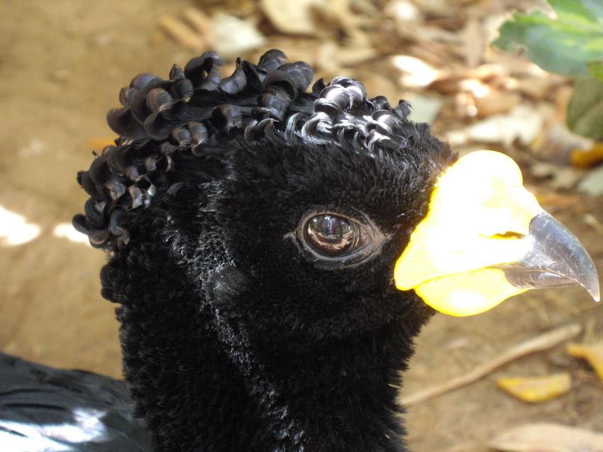 Mise en plis réussie