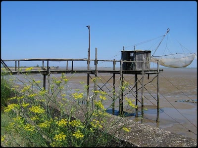 Œuvre de Claudius: Carrelet