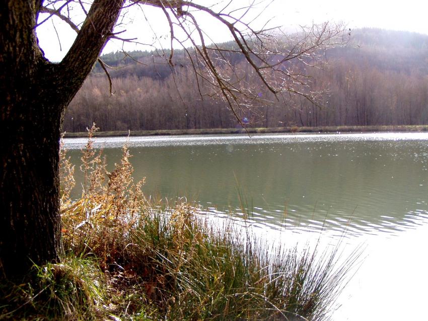 lac des monts de d'ord