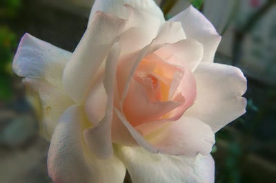 Œuvre de Ondine: Transparence