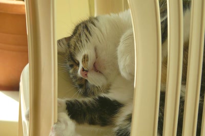 Œuvre de Ondine: En toute confiance