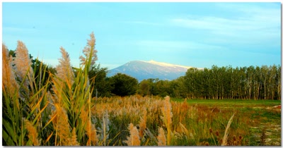 Œuvre de Le Thorois: Mont Ventoux
