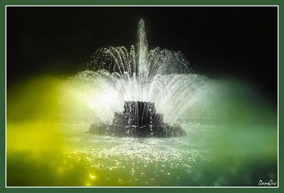 Œuvre de danque: La fontaine aux fées