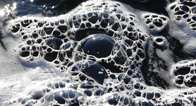 Résultat de recherche: Mousse de rivière.