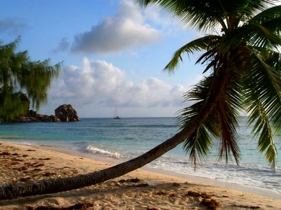 Œuvre de Claudius: Seychelles...