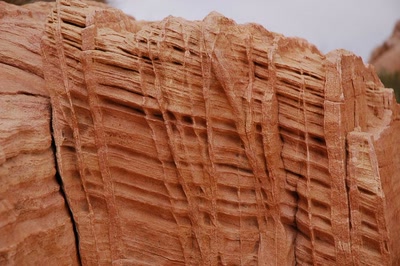 Résultat de recherche: bizarrerie de la nature