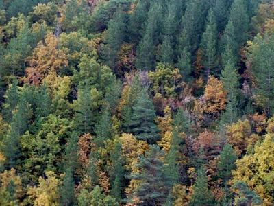 Résultat de recherche: une autre belle nature