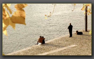 Œuvre de biotrans: Bords de seine