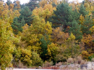 Résultat de recherche: la belle nature