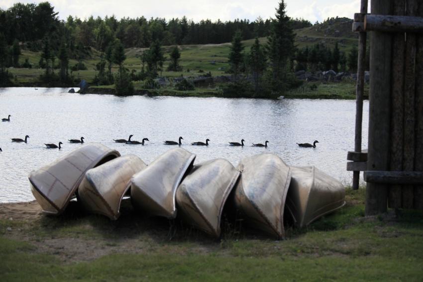 À la file indienne.