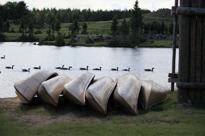 Résultat de recherche: À la file indienne.