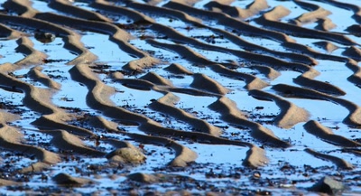 Œuvre de Doc55: Marée.