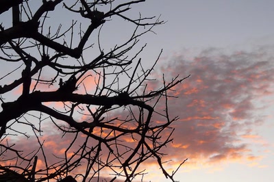 Résultat de recherche: Lever de soleil en décembre