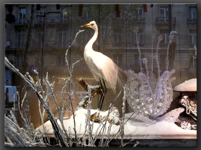 Œuvre de biotrans: Vitrine  