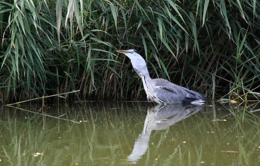 Il m'est resté de travers celui-là !