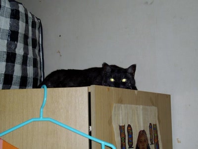 Œuvre de Walkyrie: Nanou se perche!