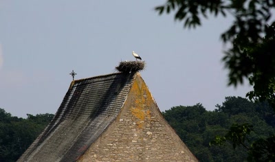Quelques habitants de notre région