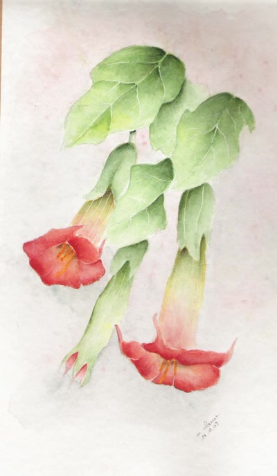 Résultat de recherche: trompettes des anges