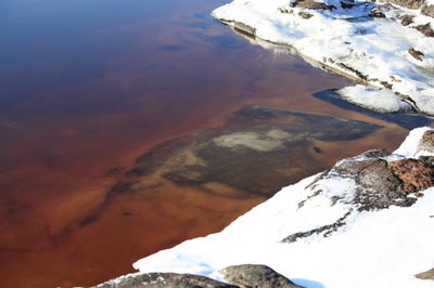 Résultat de recherche: Marée haute