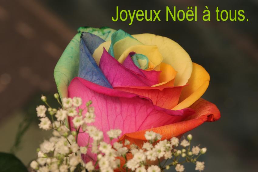 Joyeux Noël 