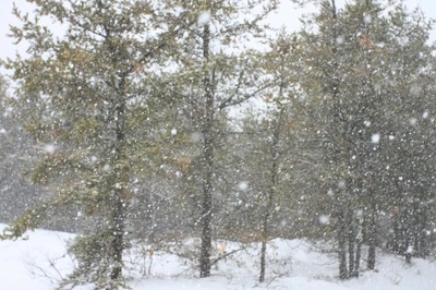 Œuvre de Doc55: Quelques flocons