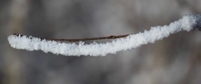 Œuvre de Doc55: Courbe