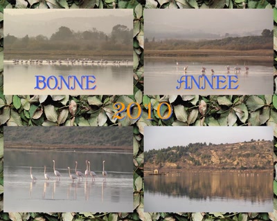 Œuvre de danque: Bonne année