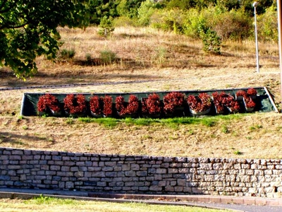 Résultat de recherche: requefort