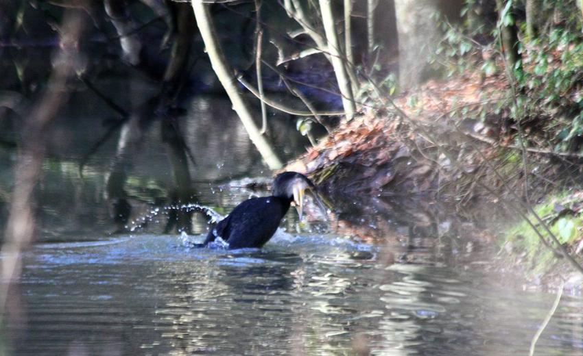 Je vais te prendre !