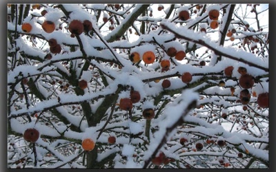 Début d'année en Normandie