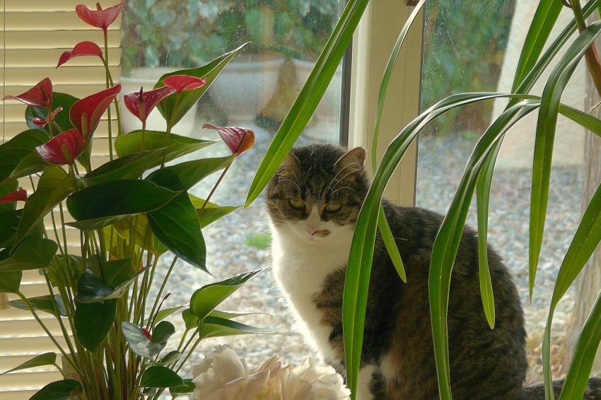 Il peut geler dehors...