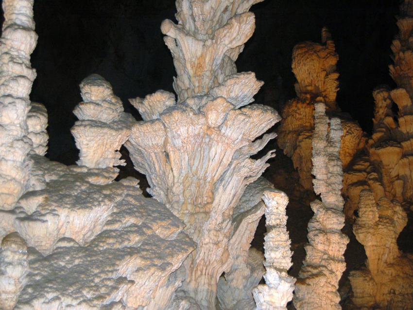 sapin de Noël souterrain