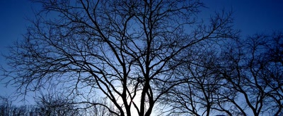 Œuvre de Mimiie: Panoramique 