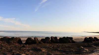 Œuvre de Doc55: Plantes