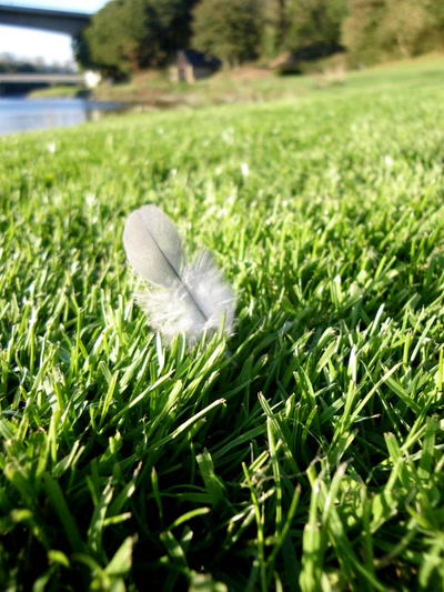 Œuvre de Mimiie: Perdue ? 