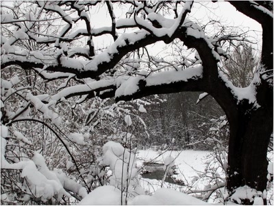 Résultat de recherche: Neige 15209 