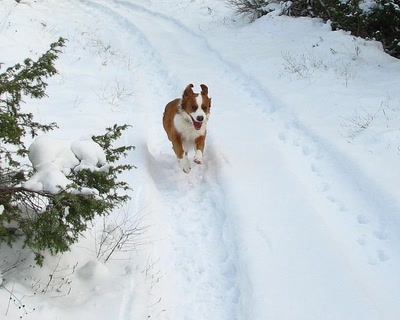Résultat de recherche: Mon Ami .....
