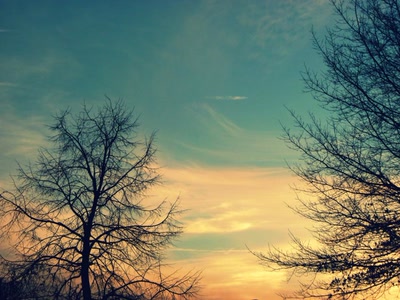 Résultat de recherche: Contemplations