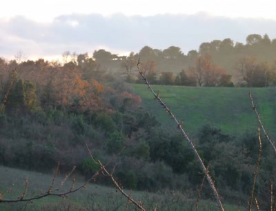 Œuvre de libellule: paysage audois