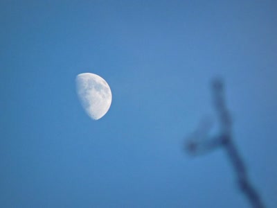 Résultat de recherche: Là-haut