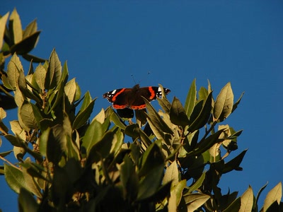 Résultat de recherche: Attention au décollage ....
