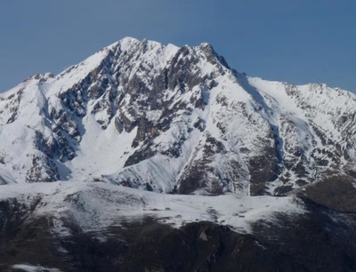 Œuvre de libellule: l'arbizon 