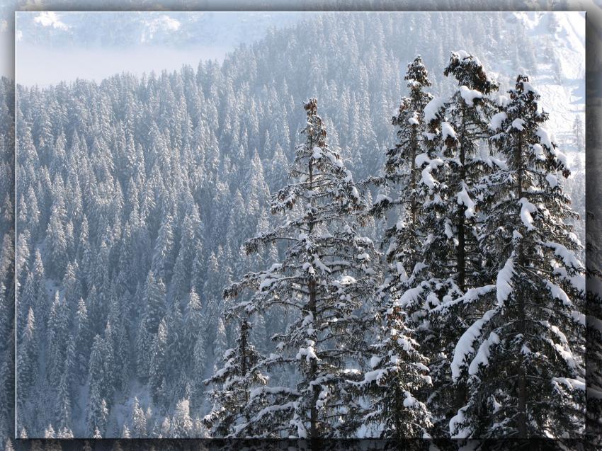 vallée de Courchevel