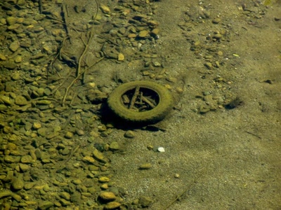 Résultat de recherche: riviere polluee