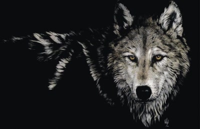 Œuvre de darkness: Loup