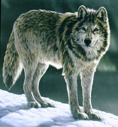 Œuvre de darkness: la force