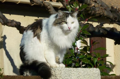 Œuvre de Ondine: Rencontre