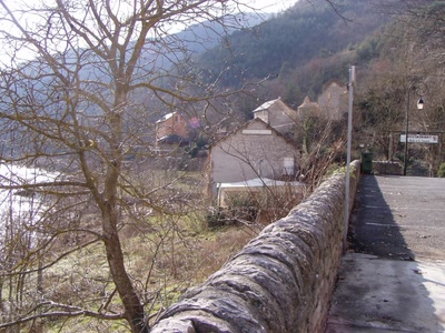 Résultat de recherche: les vignes